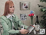 Click to see P510INBMP1.JPG