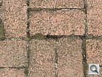 Click to see YDSCN0010.JPG
