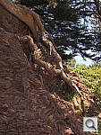 Click to see YDSCN0207.JPG