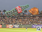 Click to see YDSCN0248.JPG