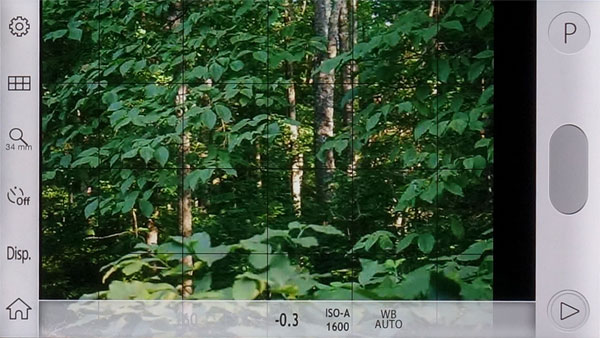 Olympus Air A01 -- P mode image