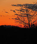 Click to see Y-12-200-0002-edt.jpg
