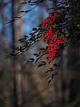 Click to see Y-12-200-0003.JPG