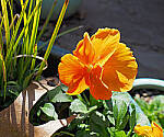 Click to see Y-12-200-0006-EDT.JPG