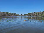 Click to see Y-12-200-0020-EDT.JPG