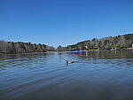 Click to see Y-12-200-0020.JPG