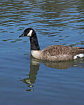 Click to see Y-12-200-0033-EDT.JPG