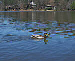 Click to see Y-12-200-0035-EDT.JPG