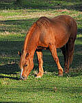 Click to see Y-12-200-0072-EDT.JPG