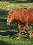 Click to see Y-12-200-0073-EDT.JPG