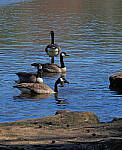Click to see Y-12-200-0112-EDT.JPG
