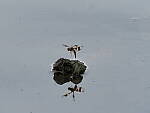 Click to see Y-2x-300mm-0317.JPG