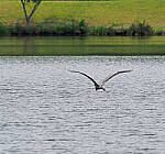 Click to see Y-2x-300mm-0435-EDT.JPG