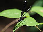 Click to see Y-2x-40-150mm-P6160439.JPG