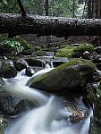 Click to see Y-JG-OLY-12-200-EM1MK2-0418.JPG