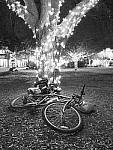 Click to see Y-JG-OLY-17mm-f1.2-C050047.JPG