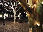 Click to see Y-JG-OLY-17mm-f1.2-C050058-BOKEH-f2.8.JPG