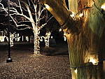 Click to see Y-JG-OLY-17mm-f1.2-C050059-BOKEH-f4.0.JPG