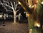 Click to see Y-JG-OLY-17mm-f1.2-C050060-BOKEH-f5.6.JPG
