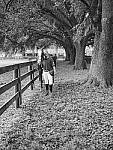 Click to see Y-JG-OLY-17mm-f1.2-C060151.JPG