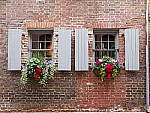 Click to see Y-JG-OLY-17mm-f1.2-C060268.JPG