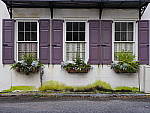 Click to see Y-JG-OLY-17mm-f1.2-C060275.JPG