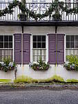 Click to see Y-JG-OLY-17mm-f1.2-C060277.JPG