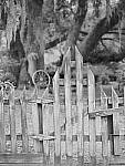 Click to see Y-JG-OLY-45mm-1.2-C060222.JPG