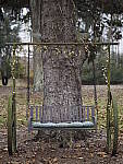 Click to see Y-JG-OLY-45mm-1.2-C060255.JPG