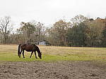 Click to see Y-JG-OLY-45mm-1.2-C060261-SHARPNESS-f5.0.JPG