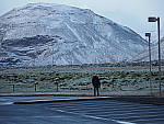 Click to see Y-PA270542.JPG