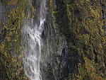 Click to see Y-PA270621.JPG