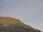 Click to see Y-PA270702.JPG