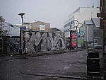 Click to see Y-PA281571.JPG