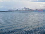 Click to see Y-PA281695.JPG