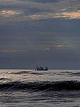 Click to see YC-12-100mm-090037-EDT.JPG