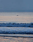 Click to see YC-12-100mm-120078-EDT.JPG