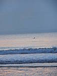 Click to see YC-12-100mm-120078.JPG