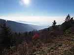 Click to see YPB053638-HighRes.JPG