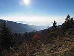 Click to see YPB053638-HighRes_OV3.JPG