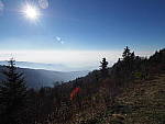 Click to see YPB053639-HighRes.JPG