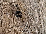Click to see YPB226497-HighRes.JPG