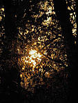 Click to see YQ-300MM-0016-EDT.JPG