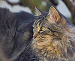 Click to see YQ-300MM-0276-EDT.JPG