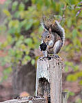 Click to see YQ-300MM-0301-EDT.JPG