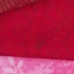 100% crop from Olympus E-M1 II test image taken at ISO 1600
