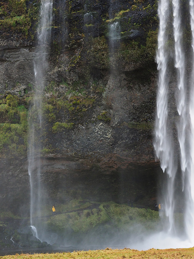 Olympus E-M1 Mark II Review -- Gallery Image