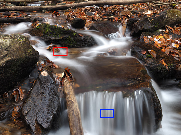 Olympus E-M1 Mark II Review -- Gallery Image