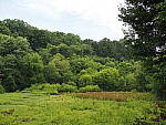 Click to see Y-25_50MMF17-P7060632.JPG