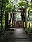 Click to see Y-25_50MMF17-P7060657.JPG